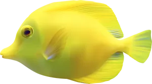 Yellow Tropical Fish Illustration PNG