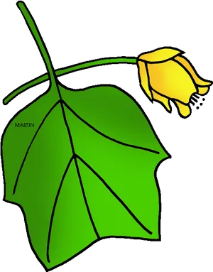 Yellow Tulip Cartoon Illustration PNG Image