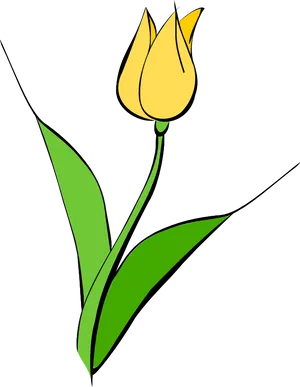 Yellow Tulip Vector Art PNG Image