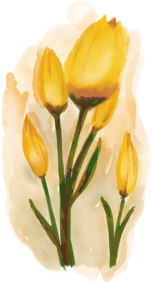 Yellow Tulips Artistic Rendering PNG Image