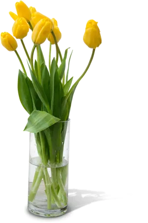 Yellow Tulipsin Glass Vase PNG Image