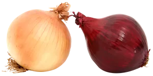 Yellowand Red Onions PNG