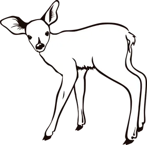 Young Deer Illustration PNG Image