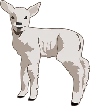 Young Lamb Illustration PNG Image