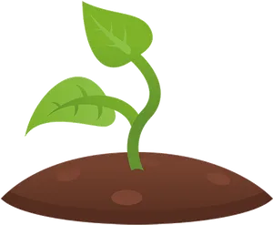 Young Plant Growing In Soil PNG Image