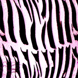 Zebra Print Fashion Texture Png Bcm53 PNG Image