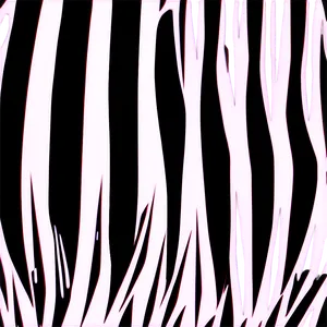 Zebra Print Vector Graphic Png 80 PNG Image