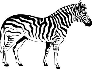 Zebra Silhouette Graphic PNG Image