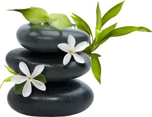 Zen Stones Green Leaves White Flowers PNG Image