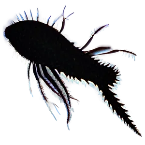 Zooplankton Silhouette Png Nae95 PNG Image