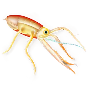 Zooplankton Vector Art Png Cbi PNG Image